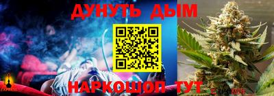 стаф Нальчик