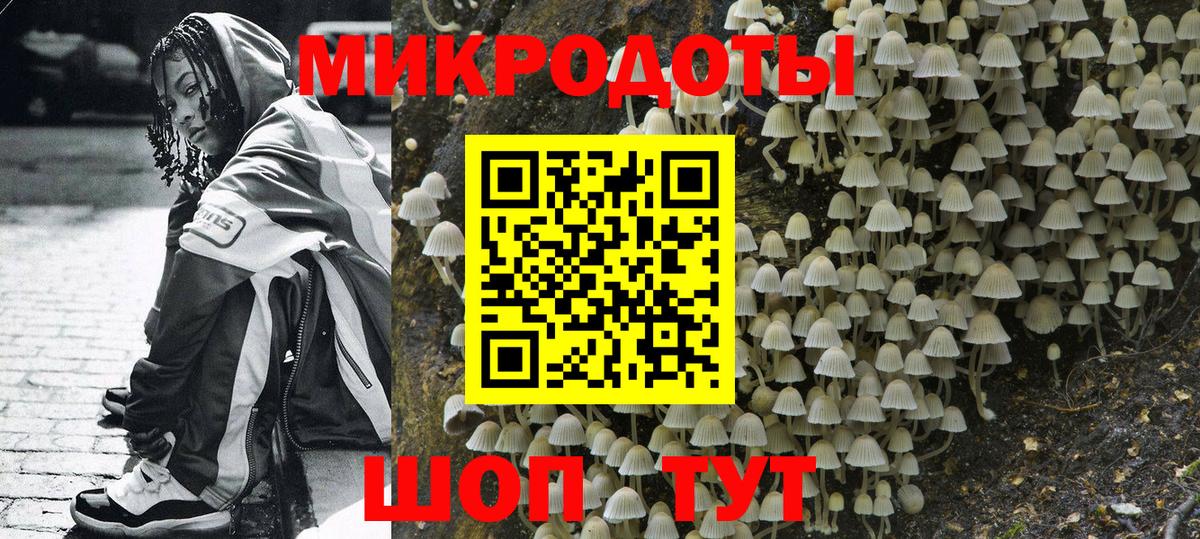Псилоцибиновые грибы GOLDEN TEACHER  Псилоцибиновые грибы Cubensis  Тольятти  Вход с VPN 
