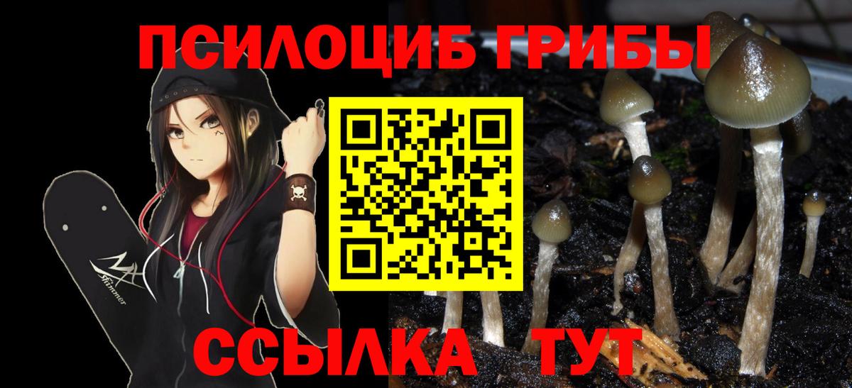 Псилоцибиновые грибы ЛСД Тольятти